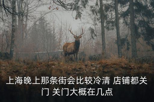上海最冷清的老街，上海晚上那條街會比較冷清 店鋪都關門 關門大概在幾點