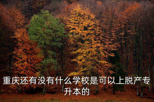 重慶還有沒有什么學校是可以上脫產專升本的