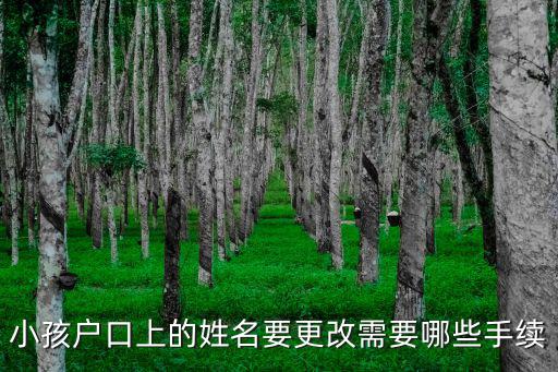 小孩戶口上的姓名要更改需要哪些手續