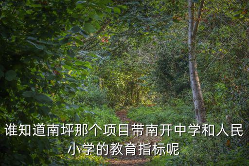 誰知道南坪那個項目帶南開中學和人民小學的教育指標呢