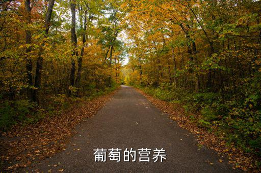 葡萄的營(yíng)養(yǎng)