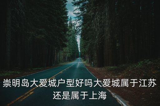 崇明島大愛城戶型好嗎大愛城屬于江蘇還是屬于上海