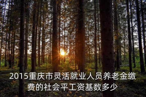 2015重慶市靈活就業人員養老金繳費的社會平工資基數多少