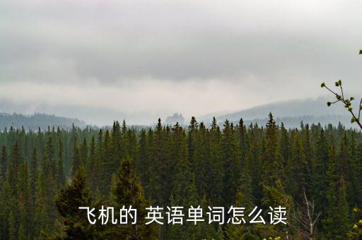  飛機(jī)的 英語(yǔ)單詞怎么讀