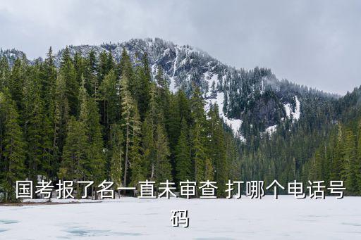 國考報了名一直未審查 打哪個電話號碼