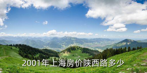 2001年上海房價陜西路多少