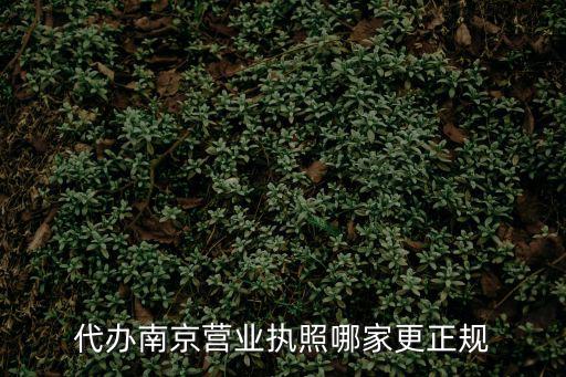 南京代辦公司營業(yè)執(zhí)照機構，南京公司注冊那個代理公司好