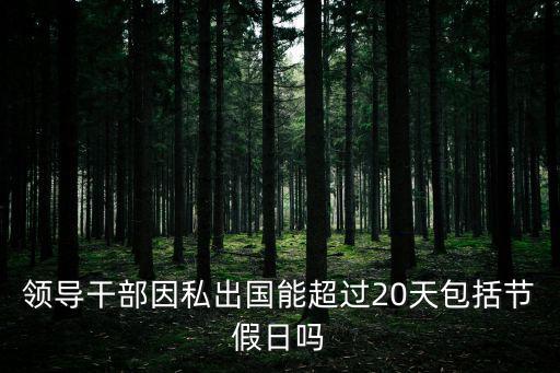 重慶市領導干部出國出境規定，黨政干部年內因公可出國和赴港澳臺嗎