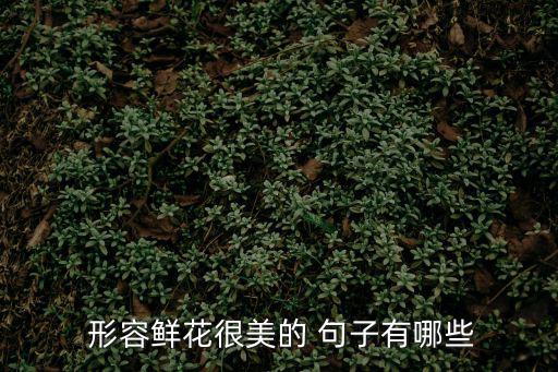 形容花漂亮的句子,從睡夢中醒來的小女孩!