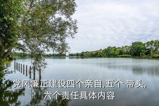 黨風廉正建設四個親自,五個 帶頭,六個責任具體內容