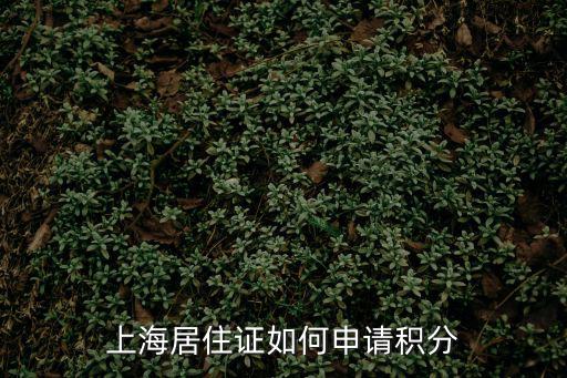 上海居住證如何申請積分