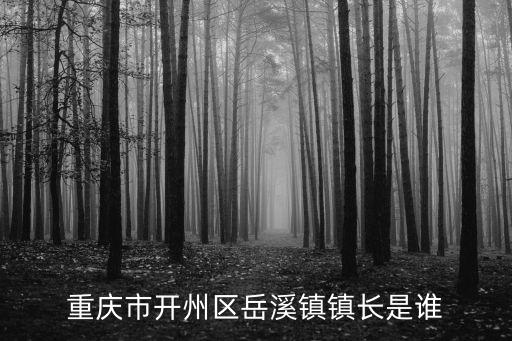 重慶市開州區岳溪鎮鎮長是誰