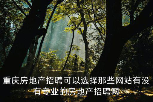 重慶房地產(chǎn)招聘可以選擇那些網(wǎng)站有沒有專業(yè)的房地產(chǎn)招聘網(wǎng)