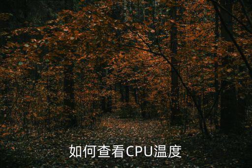 如何查看CPU溫度