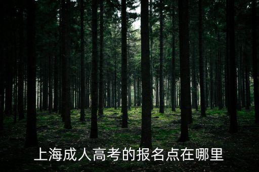上海成人高考的報名點在哪里