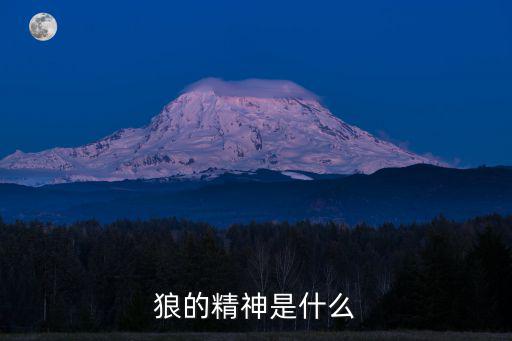 狼的精神是什么
