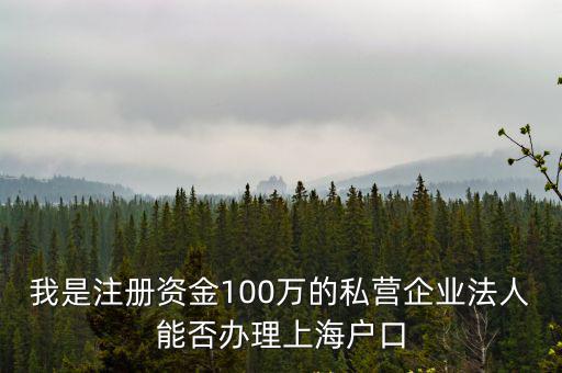 上海法人落戶，法人代表上海戶口