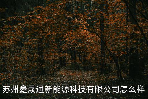 蘇州鑫晟通新能源科技有限公司怎么樣