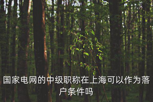 國家電網(wǎng)的中級職稱在上海可以作為落戶條件嗎