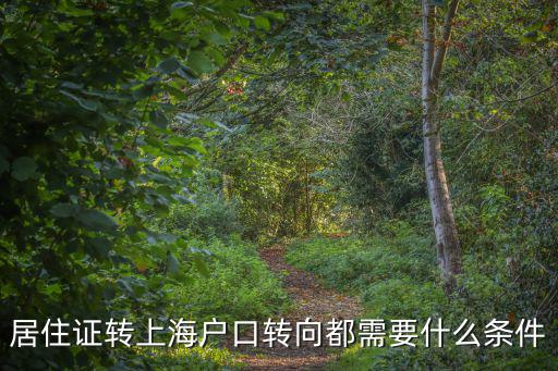 居住證轉(zhuǎn)上海戶口轉(zhuǎn)向都需要什么條件