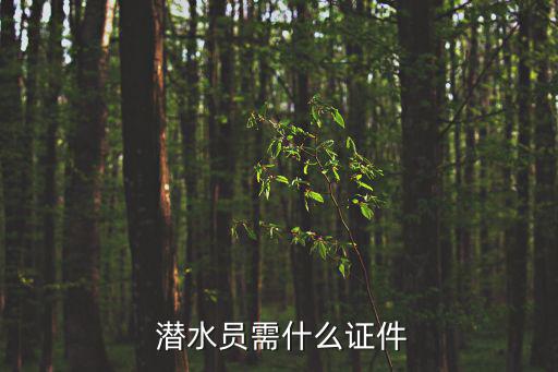 潛水員,職業(yè)潛水員資格認(rèn)證在水下工作的專業(yè)人員