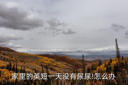 尿疼,英國短不尿尿可能是因為膀胱系統有問題