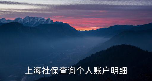 上海社保查詢個人賬戶明細