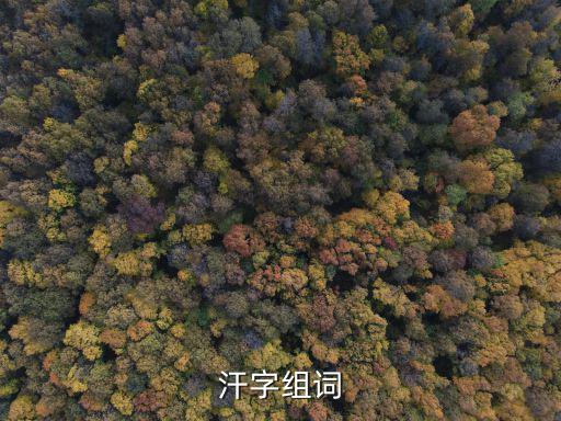 汗字組詞