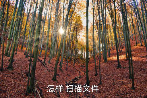 怎樣 掃描文件