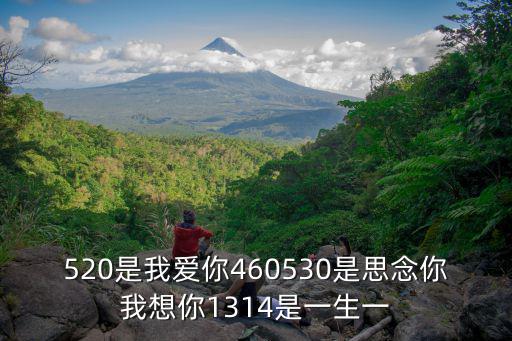 520是我愛你460530是思念你我想你1314是一生一