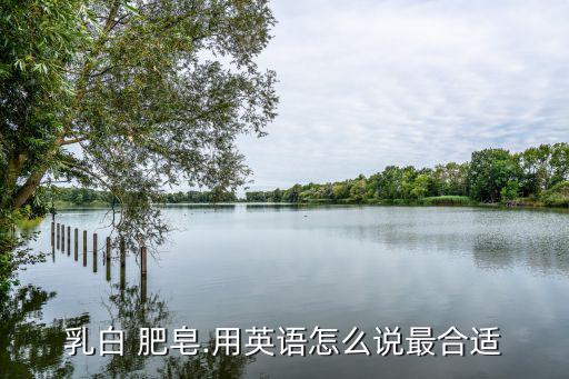 乳白 肥皂.用英語怎么說最合適