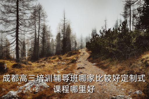 成都高三培訓輔導班哪家比較好定制式課程哪里好