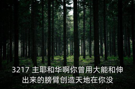 3217 主耶和華啊你曾用大能和伸出來的膀臂創造天地在你沒