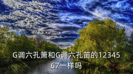 G調六孔簫和G調六孔笛的1234567一樣嗎