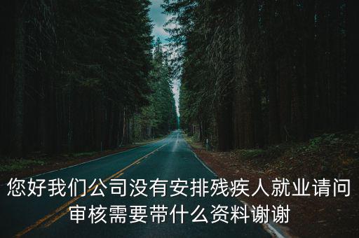 您好我們公司沒有安排殘疾人就業請問審核需要帶什么資料謝謝