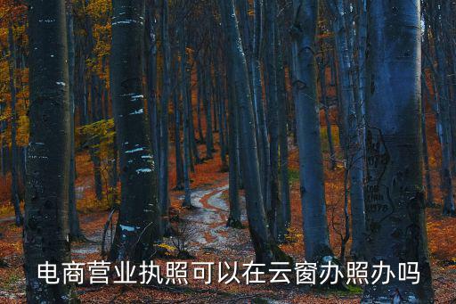 云窗辦照能注銷營業執照嗎，電商營業執照可以在云窗辦照辦嗎
