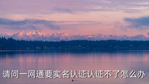 請問一網(wǎng)通要實名認(rèn)證認(rèn)證不了怎么辦