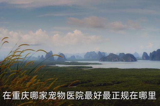在重慶哪家寵物醫(yī)院最好最正規(guī)在哪里