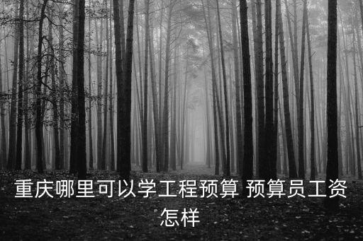 重慶哪里可以學(xué)工程預(yù)算 預(yù)算員工資怎樣