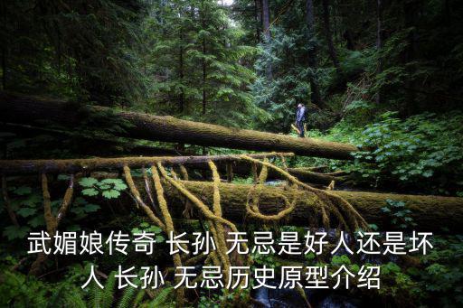 長孫無忌,長孫無忌是好人?