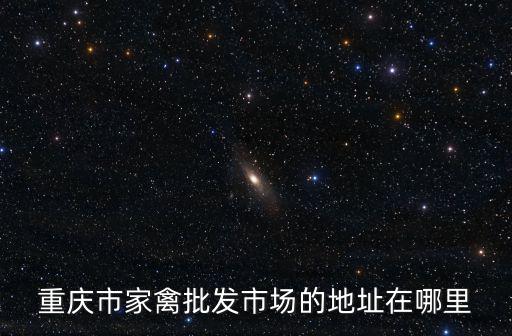 重慶市家禽批發市場的地址在哪里