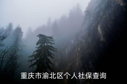 重慶市渝北區個人社保查詢
