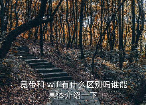 寬帶和wifi有什么區別,寬帶和wifi有何不同?