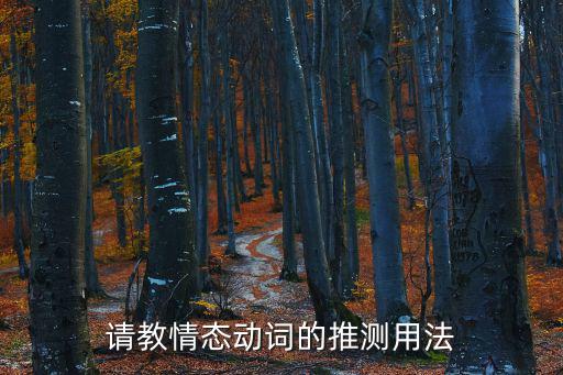 請教情態動詞的推測用法