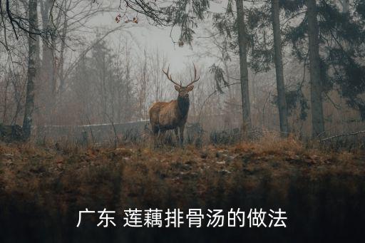 蓮藕骨頭湯的做法,正宗蓮藕排骨湯做法:排骨300g蓮藕1把