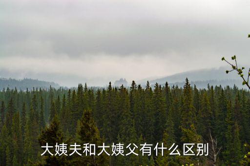 姨夫和姨父的區別，姨父跟姨丈有何區別