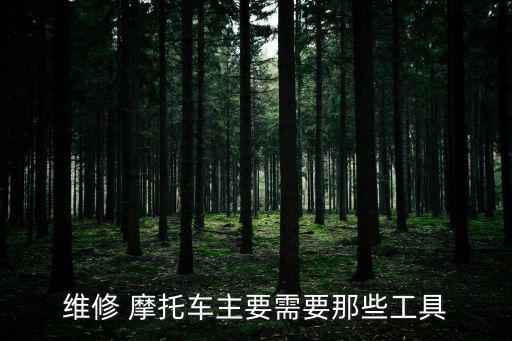 修摩托車,開環efi摩托車維修工具最少電噴有問題修不了