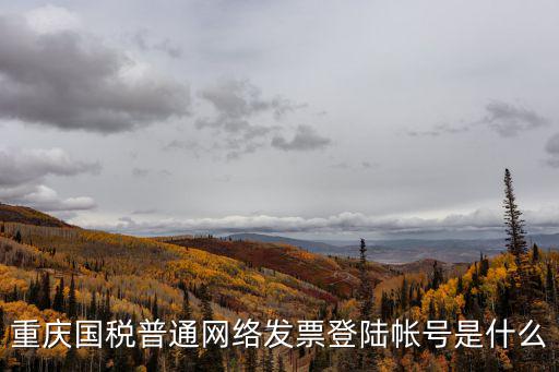 重慶國稅普通網絡發票登陸帳號是什么