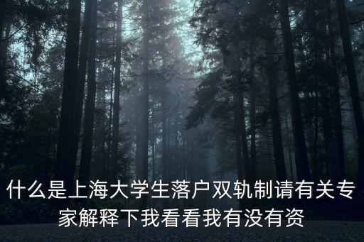 什么是上海大學生落戶雙軌制請有關專家解釋下我看看我有沒有資