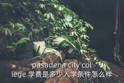 南外國王國際學校學費，這個學校 學費大約多少
